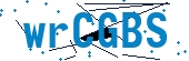 recaptcha