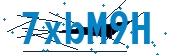 recaptcha